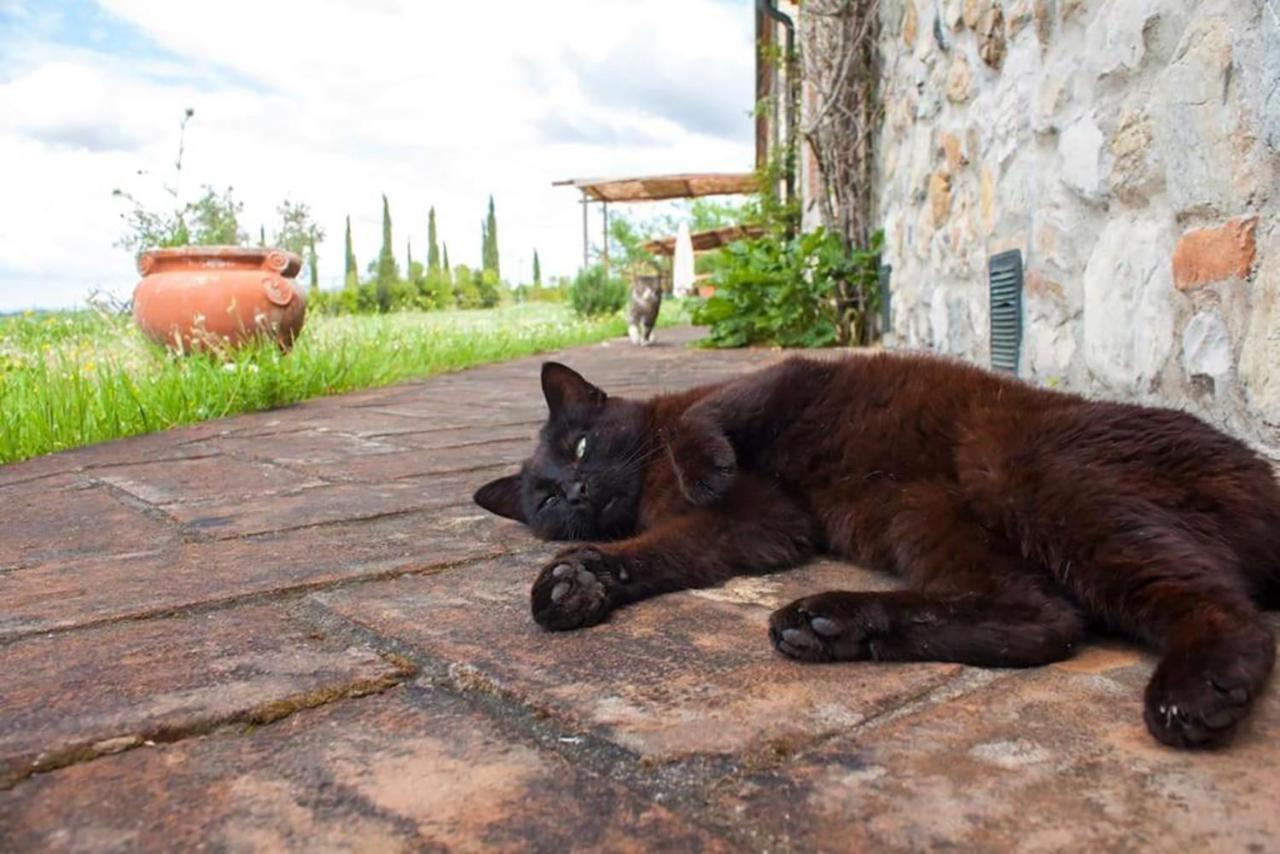 포마란체 Agriturismo Fattoria Di Statiano 빌라 외부 사진